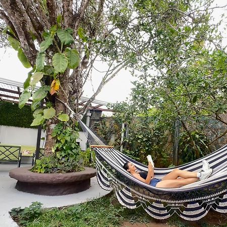 Montefresco Boutique Hostel Monteverde Екстериор снимка